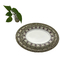 13.5&quot; Oval Shape Melamine Soup Plate for Household and Restaurant